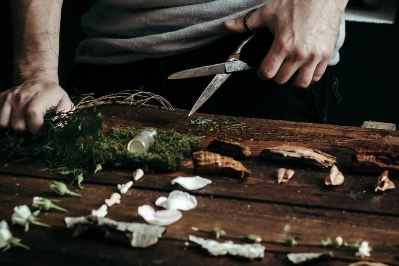 Szyprowe nuty – co kryje się za tym tajemniczym terminem?