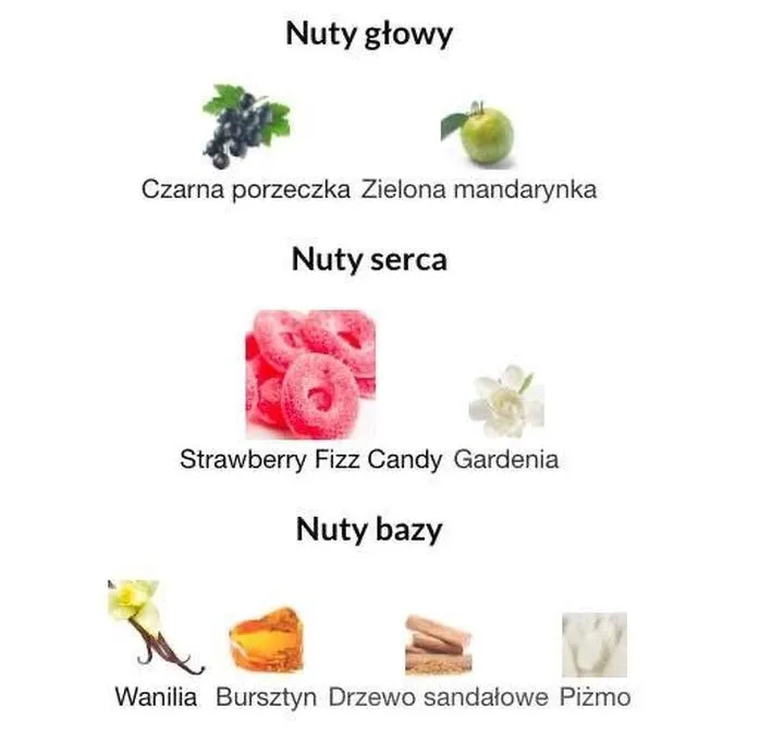 Nuty głowy serca i bazy